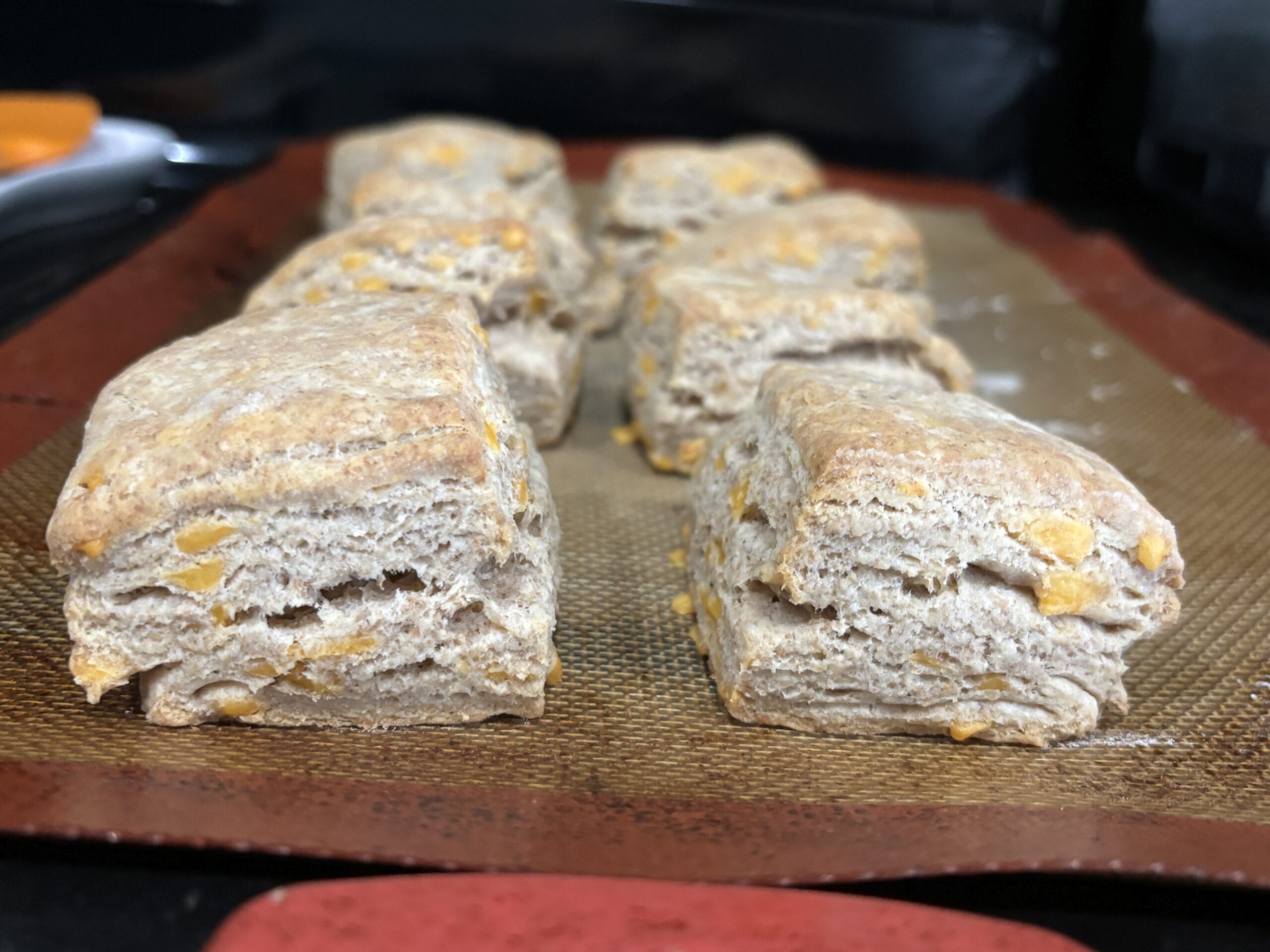 Sourdough Discard Biscuits